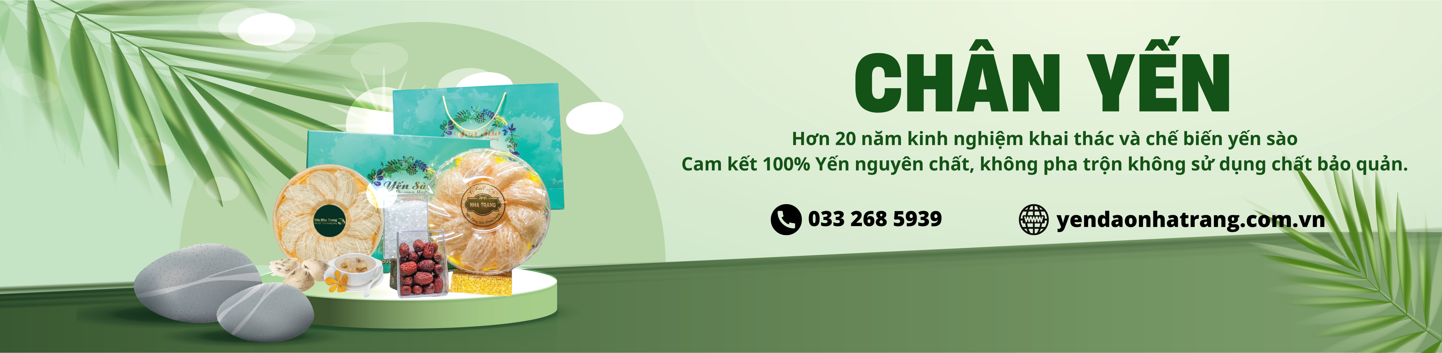 Chân Yến Vàng Đắp Tổ